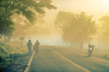 Obraz premium The blurry background of the fog that covers trees, roads, grass, in the morning is naturally beautiful, can be seen in the end of the rain, cold winter every year.