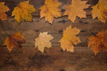 Autumn leaves on rustic wooden table. Thanksgiving background. Top view with copy space. - 302586029
