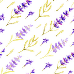 Seamless pattern with delicate lavender flowers on a white background. Hand drawn watercolor illustration for design background, cover, wrapper, package, wedding, template.