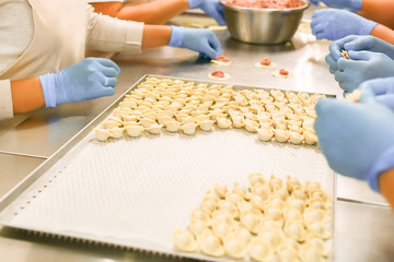 Dumplings manufacturing process. Hands of employers in blue rubber gloves and damplings on tray covered with wax paper.