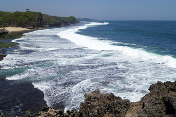 Trees, blue sky, and rock in beach 