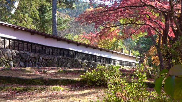 秋の福満虚空蔵尊円蔵寺（福島県・柳津町）