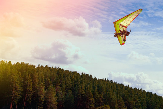 Hang glider flying in the blue sky. Vacation concept