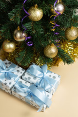 Fototapeta na wymiar New Year's gifts under the Christmas tree