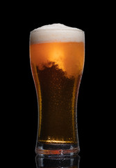Glass of beer isolated on black background.