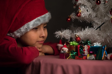 Adornando la navidad