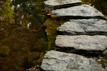 Stepping stone over small pond. Japanese rock pathway in the garden. Free copy space on left for text.