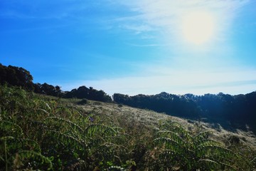 view of mountains