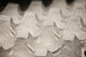 The surface of the paper nest contains eggs.