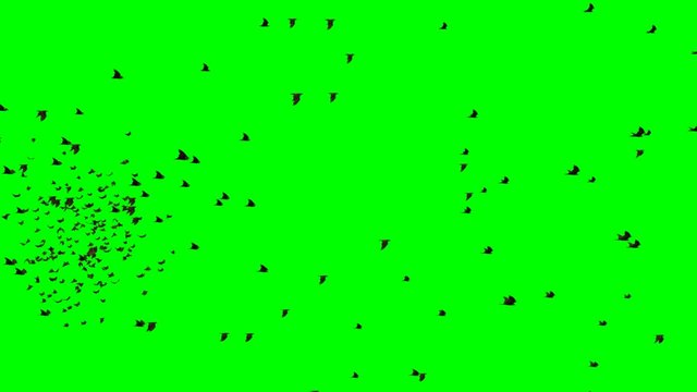 swarm of flying mega bats, isolated on green screen