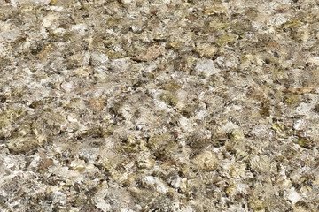 Water texture background.