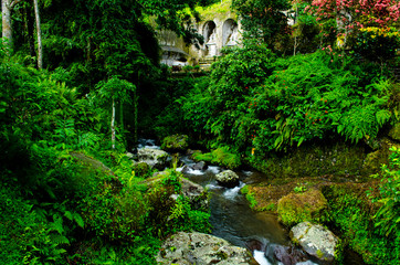 Fototapeta na wymiar The hidden place, Pakerisan river, Bali, Indonesia