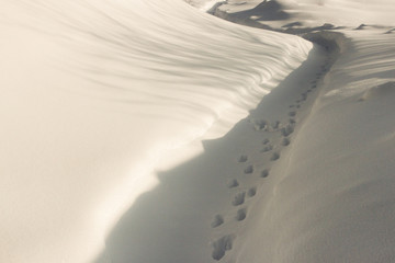Winter road, trail, footprints