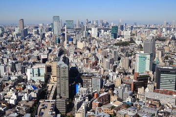 Fototapeta premium 上空から見る渋谷区恵比寿の風景