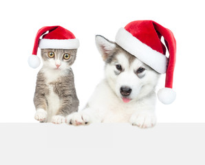 Cat and dog with red christmas hats above white banner. Empty space for text. Isolated on white background