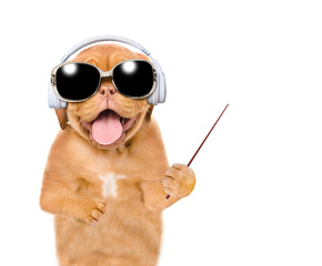 Funny puppy listening wireless music with headphones and points away on empty space. Isolated on white background