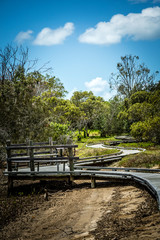 Boondall Wetlands walkway winds along mangrove trees