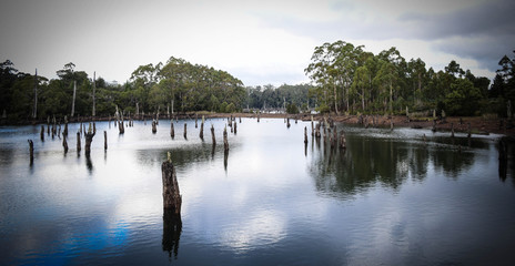 Water In The Dam. Tasmania Tarkine Region 