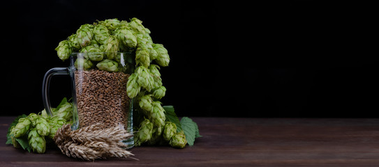 Brewing concept. Mug with malt and fresh green of hops on dark wooden table. Black background....
