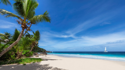 Naklejka na ściany i meble Sandy beach with palm trees and a sailing boat in the turquoise sea on Paradise island. 