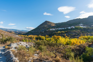 Photo of the Alcolea River as it passes through Lucainena
