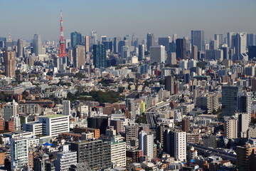 Obraz premium 東京タワーと林立する超高層ビル群