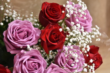 Bouquet of pink and red roses