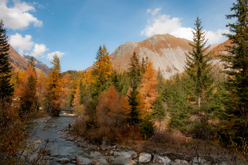 Fototapeta na wymiar Creek in Tirolean Aplps in Austria
