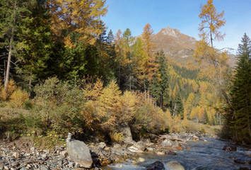 Creek in Tirolean Aplps in Austria