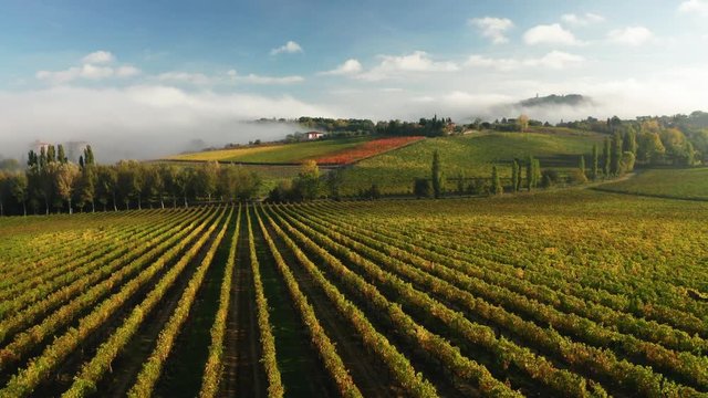 Aerial view of a rural landscape during sunrise in Tuscany. Rural farm, vineyards, green fields, sunlight and fog. Italy, Europe.