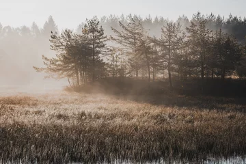 Fotobehang Cappuccino Humeurig gefilterd beeld van Misty Morning at Lake in de herfst
