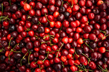 Red Cherries. pile of ripe cherries with stalks.