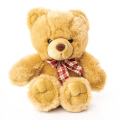 Fluffy teddy bear isolated on white