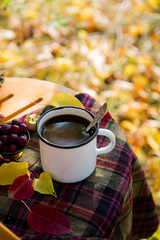 Cup of hot coffee or chocolate or tea in white mug with spoon in autumn garden scenery with golden yellow and red leaves on checkered plaid. Romantic fall cozy still life on wooden chair