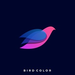 Modern Bird Colorful Illustration Vector Template