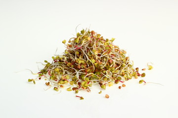 Radish sprouts