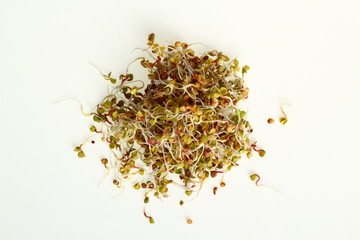 Radish sprouts