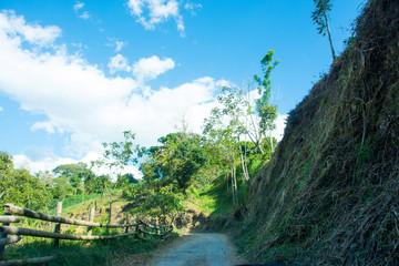 Fototapeta premium by the mountains