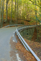 Una carretera de montaña en otoño