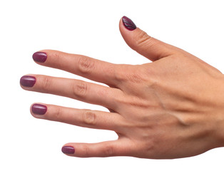 female hands with manicure on a white background