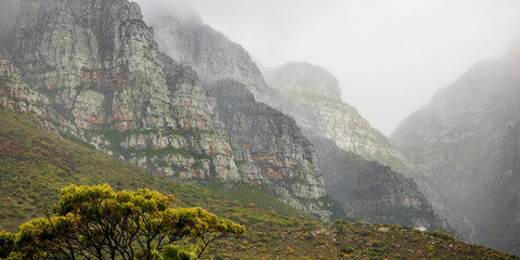 Dramatic mountainscape and tree with cloud cover on an overcast day.