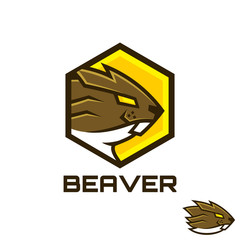 Beaver in hexagon shape logo design  © Rexcanor