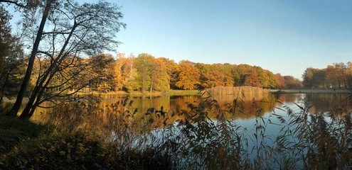 goldener herbst