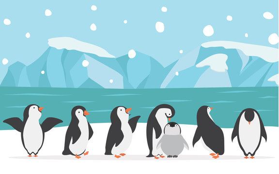 family penguins with North pole background vector