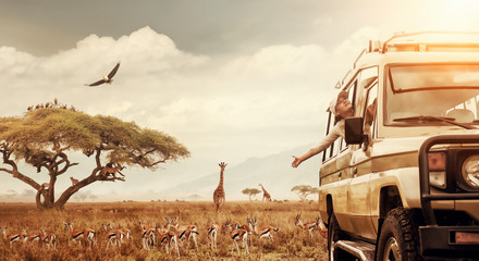 Happy woman traveller on a safari in Africa, travels by car in Kenya and Tanzania, watches life wild tigers, giraffes, zebras and antelopes in the savannah. - obrazy, fototapety, plakaty