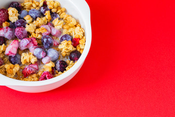 フルーツグラノーラ