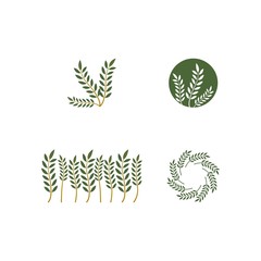 Obraz premium Agriculture wheat Logo Template