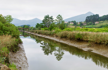 Fototapeta na wymiar Urdaibai marshes walk in Vizcaya province, Spain