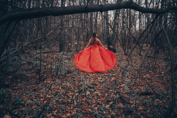 Young beautiful woman in the long flying red dress is walking along foggy mysterious forest
