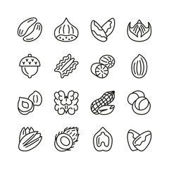 Nut flat line icon collection. Hazelnut, pecan, almond, chestnat, pistachio, walnut, peanut isolated set. 